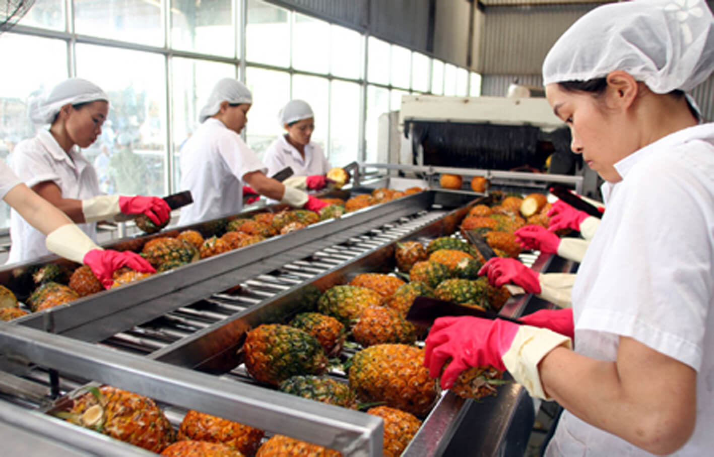 Thành lập công ty xuất nhập khẩu nông sản thành công 100%