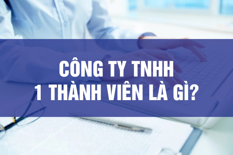 Thành lập công ty TNHH 1 thành viên thành công 100%